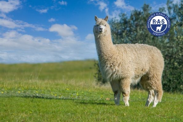Responsible Alpaca Standard