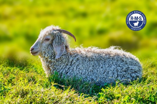 Responsible Mohair Standard Garn & Gear