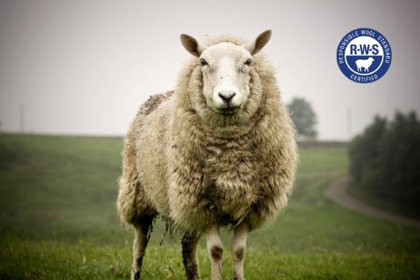 Responsible Wool Standard