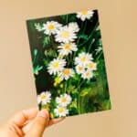 Wild pencil studio postkort margueritter