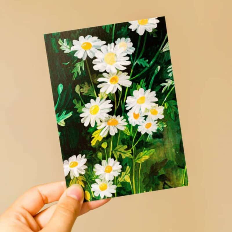 Wild pencil studio postkort margueritter